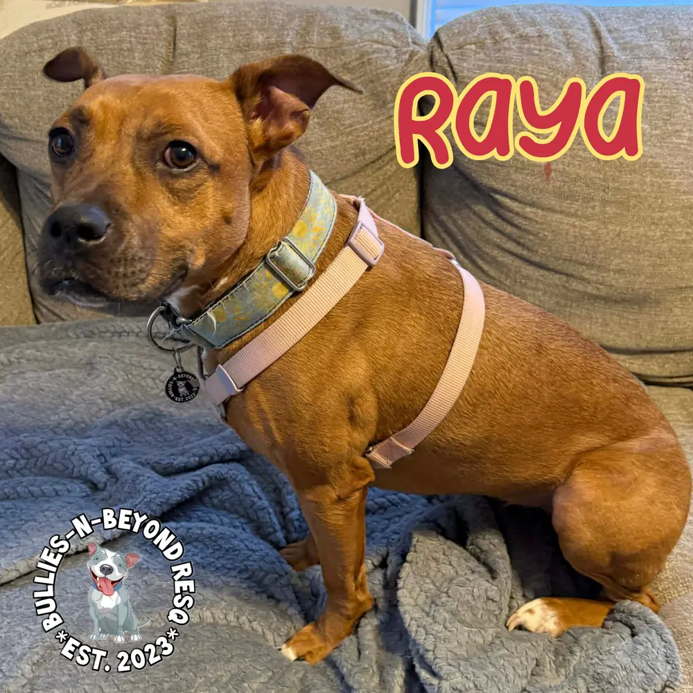 Raya image 2