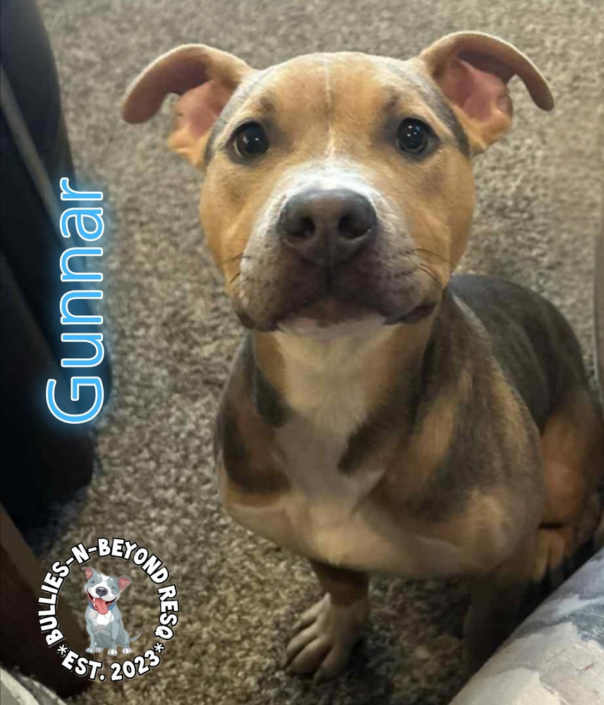Gunnar