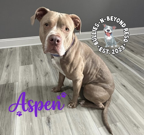 Aspen