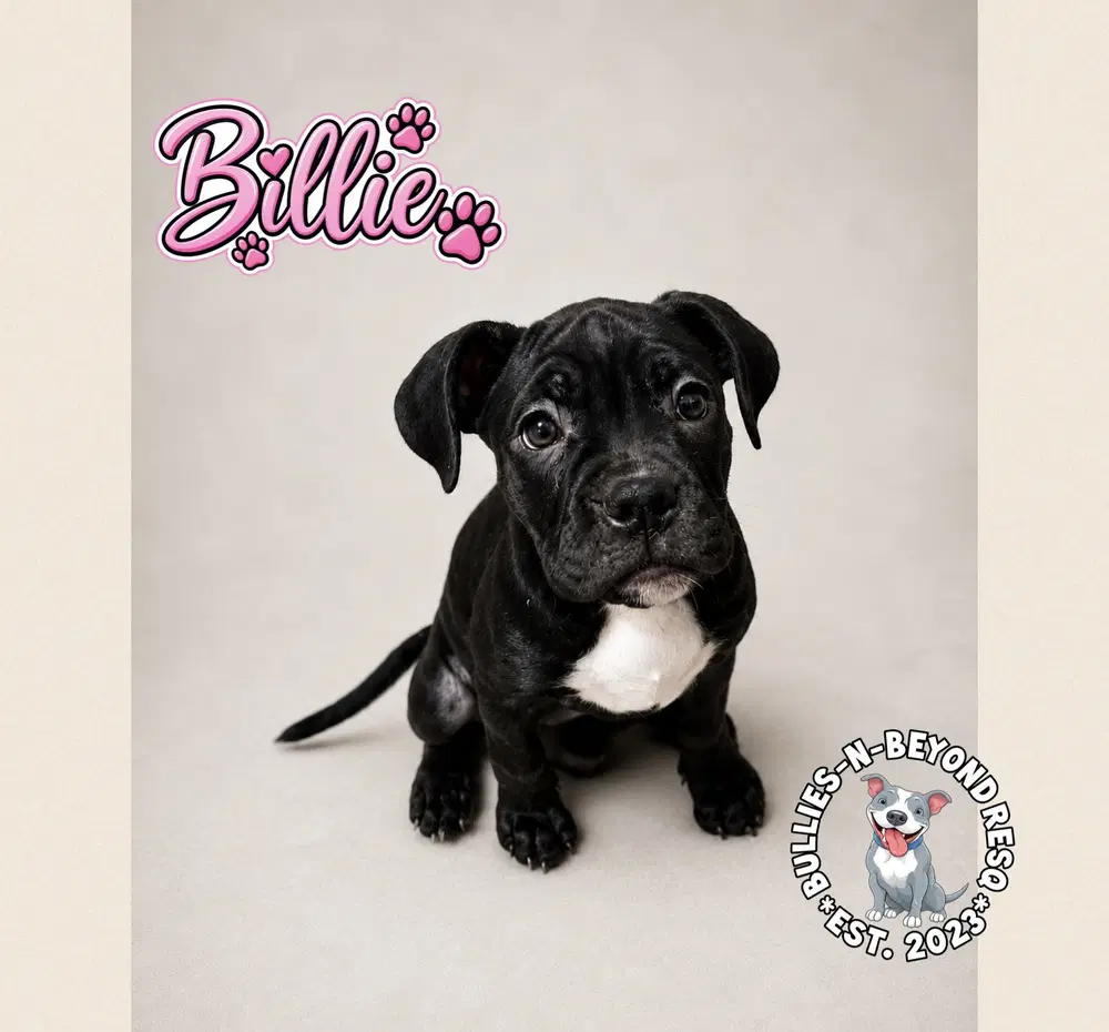 Billie image 4