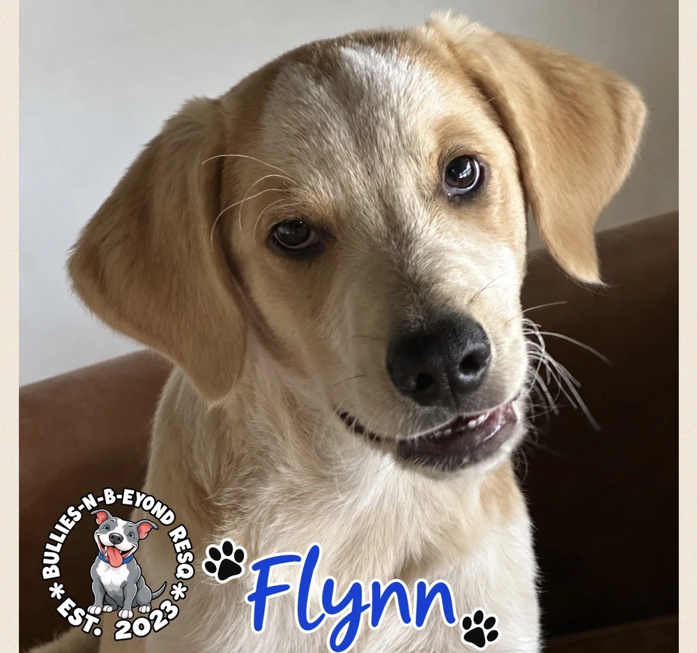 Flynn