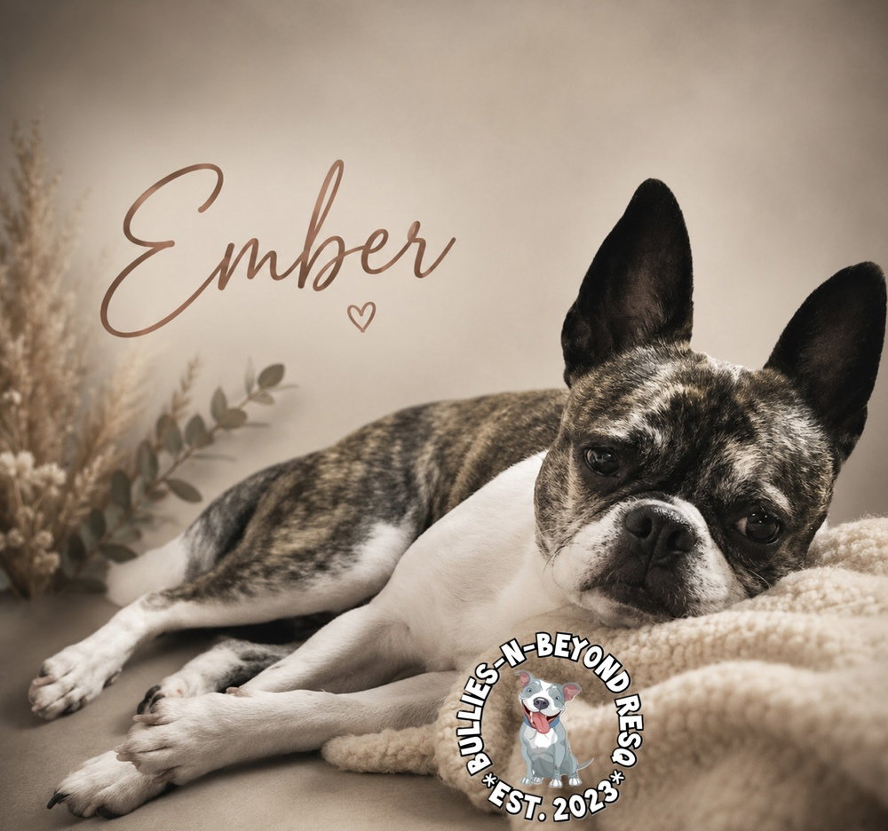 Ember, photo 3