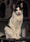 Emery - MS - Photo 1