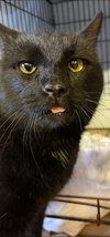 Jack - LF - Photo 3