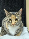 Roxy - MT - Photo 3