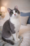 Alfie-JW - Photo 1