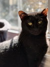 Storm - MS - Photo 1
