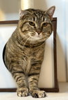 Tuesday - MS - Photo 3