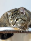 Tuesday - MS - Photo 4