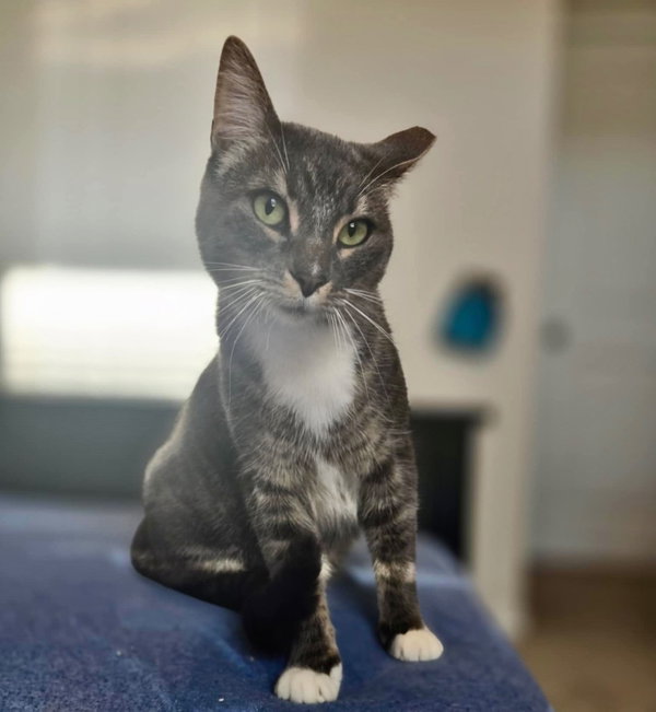 Rosie