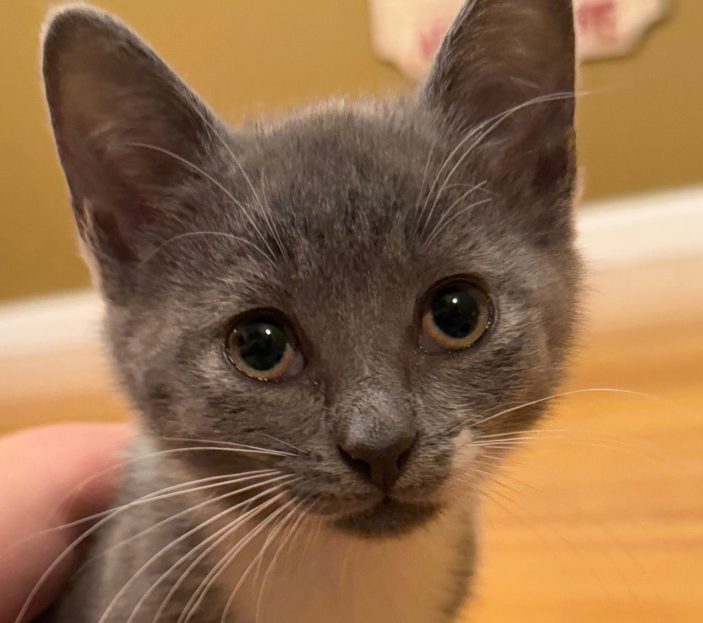Maria S Katzen