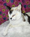 Leela - Photo 4