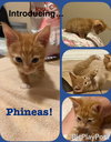 Phinny-S - Photo 4