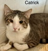 Catrick Swayzee - Photo 1
