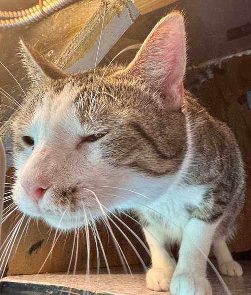 Photo 4 of Catrick Swayzee