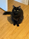 Vader - Photo 2