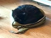 Vader - Photo 4