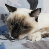 Maggie K - Photo 3