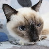 Maggie K - Photo 4