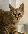 Peachy Patches - Photo 2