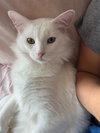 Ghostie - Photo 1