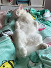 Ghostie - Photo 2