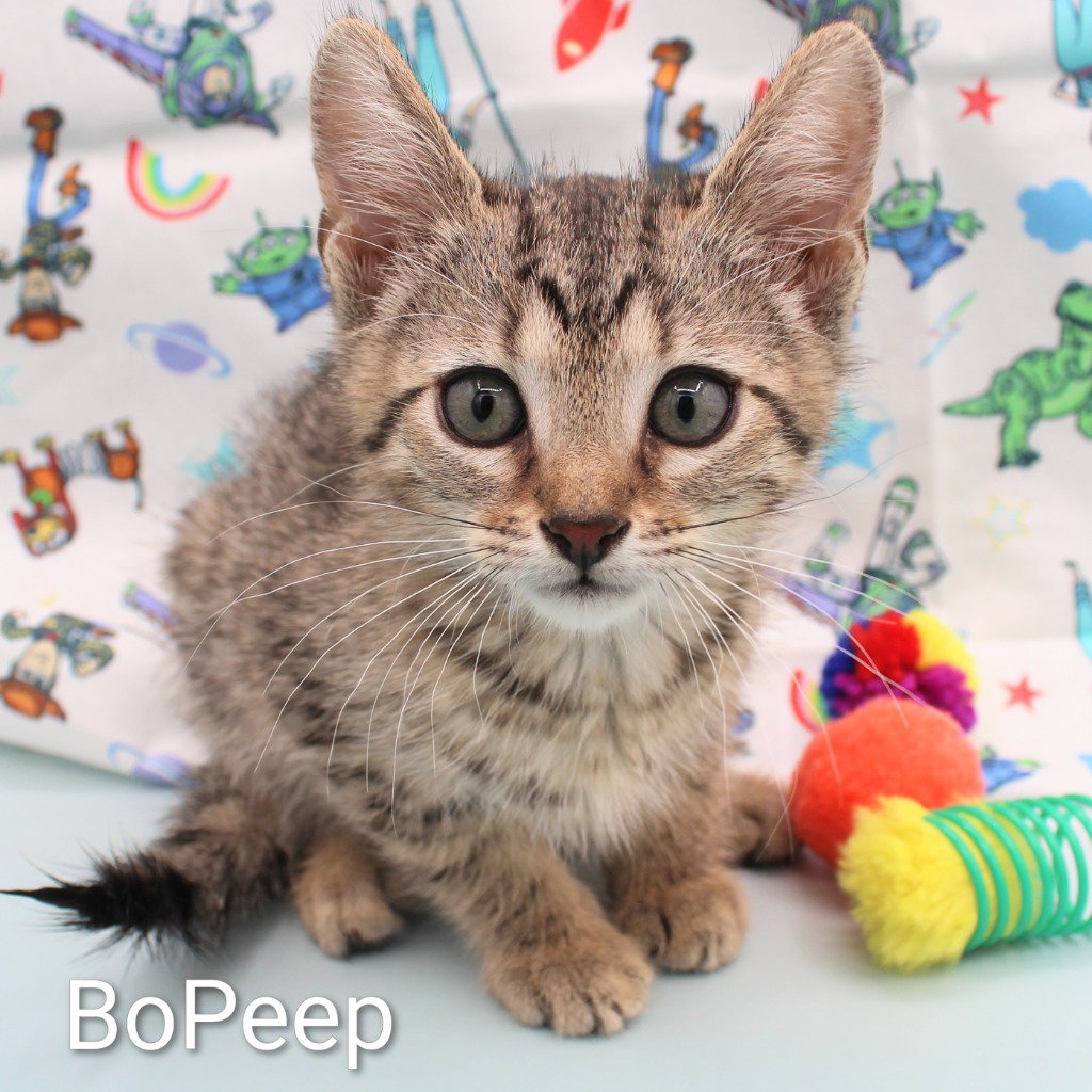 BoPeep