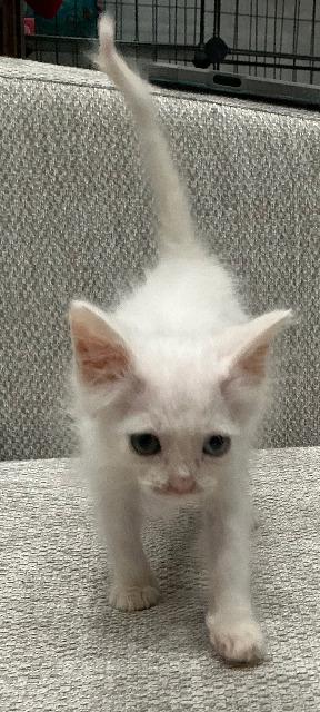 Yukio photo 2