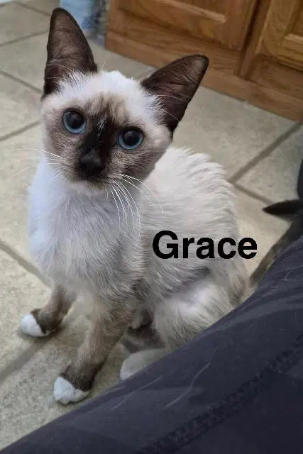 Grace image 2