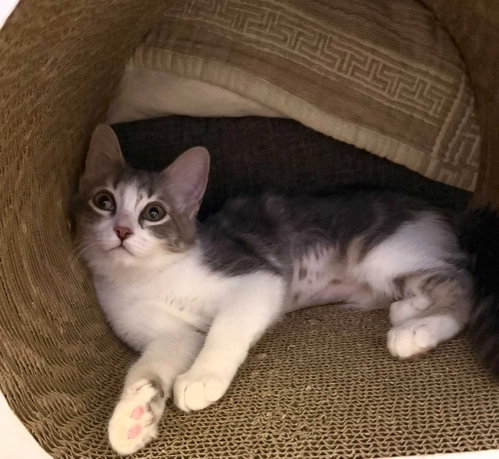 Photo 2 of Rosie
