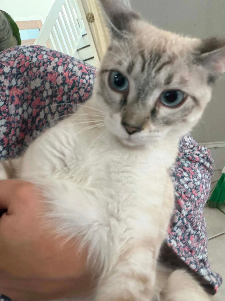 Lily Linx