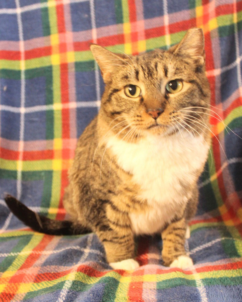 Nala
