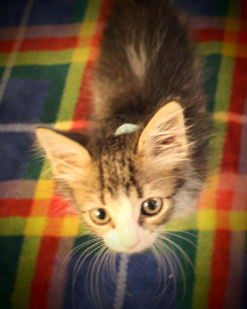 Photo 3 of Bagel