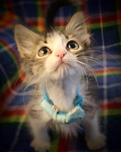 Photo 4 of Bagel