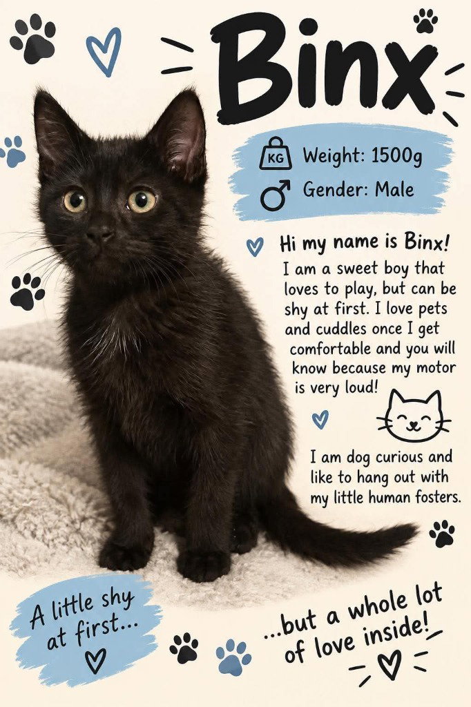 Binix, Siamese