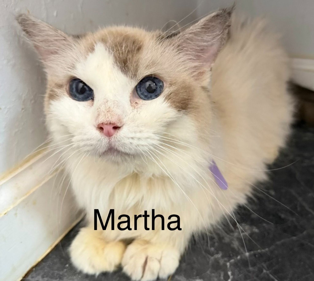 Martha