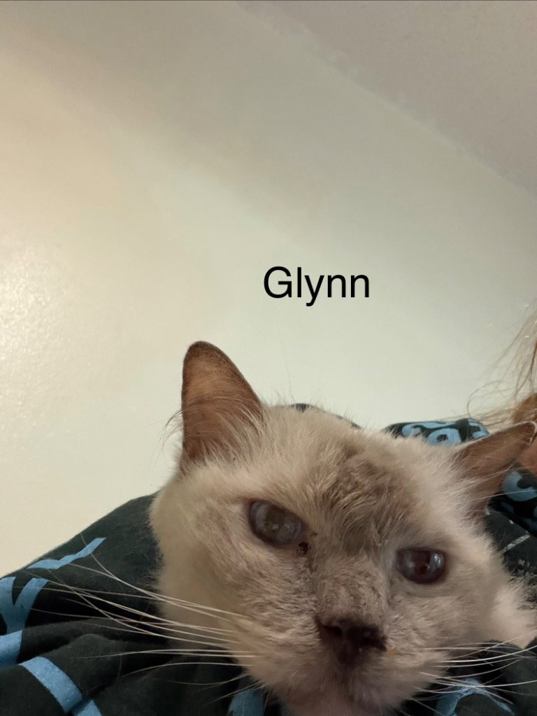 Glynn, photo 4