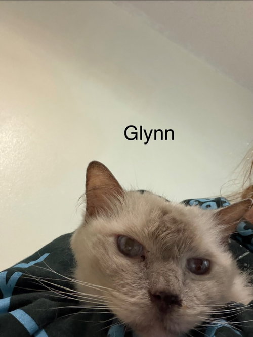 Glynn, photo 4