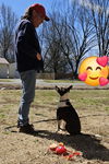 Buddy