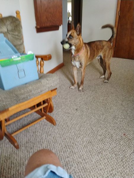 Bailey