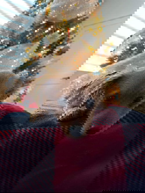 River