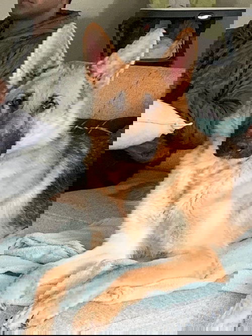 Jerrik
