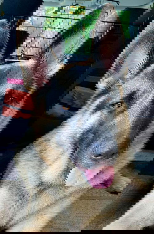 Tekka