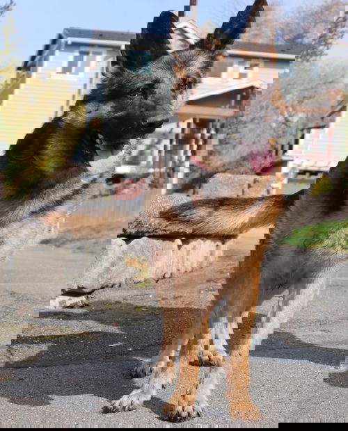 Kira