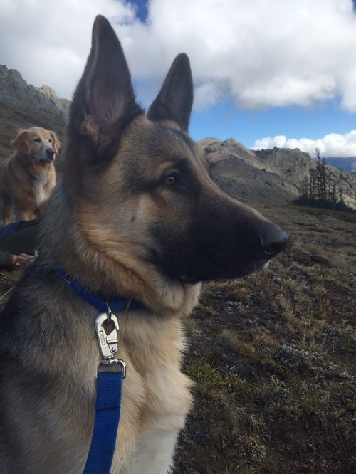 Kona