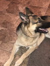 Kona