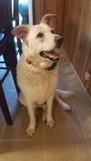 Jenny