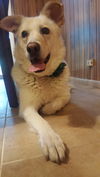 Jenny