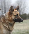 Hans
