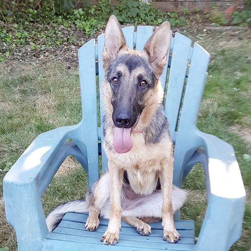 Freya